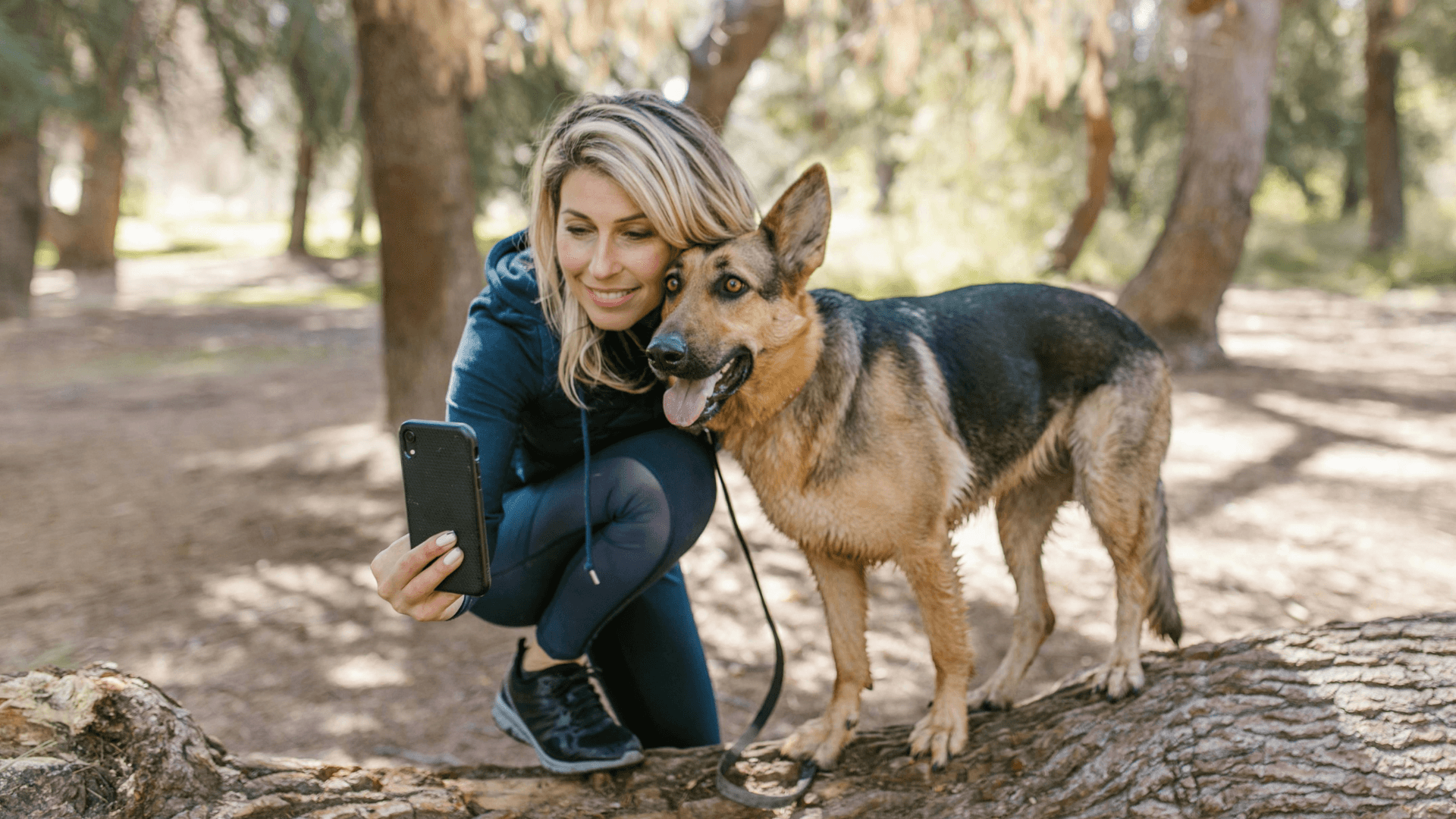 Breaking Down the Top 7 Pet Sitting Apps