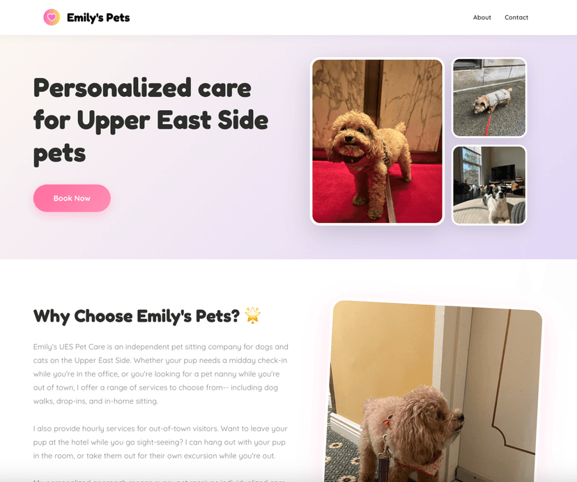 Pets Friendz published website preview